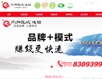 瀏陽花炮連鎖網站改版